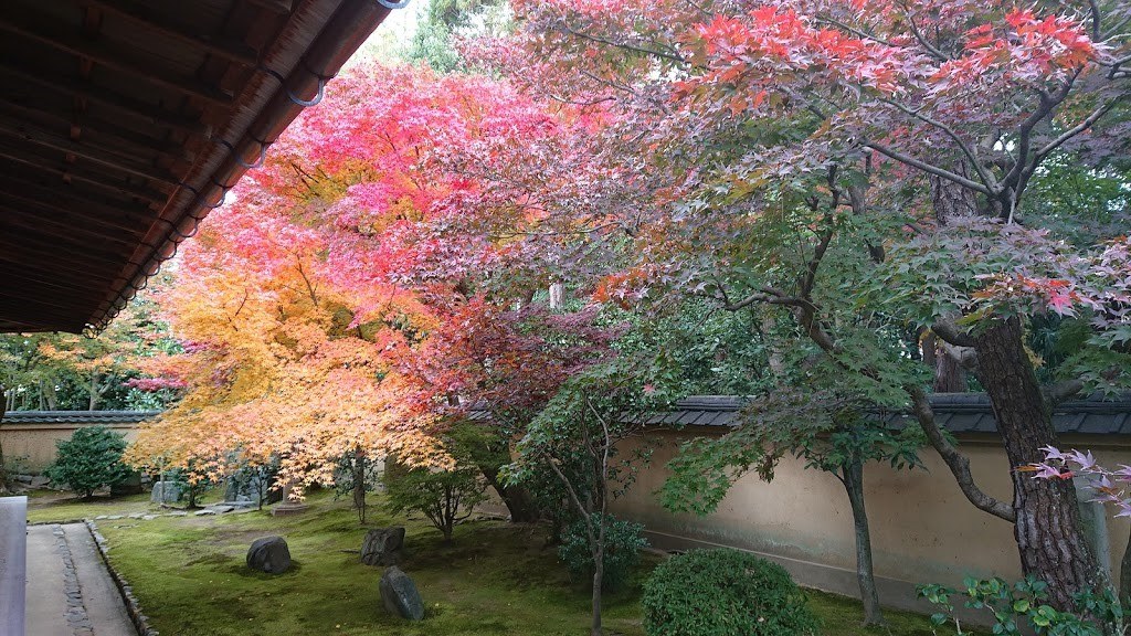 Temple Daitokuji